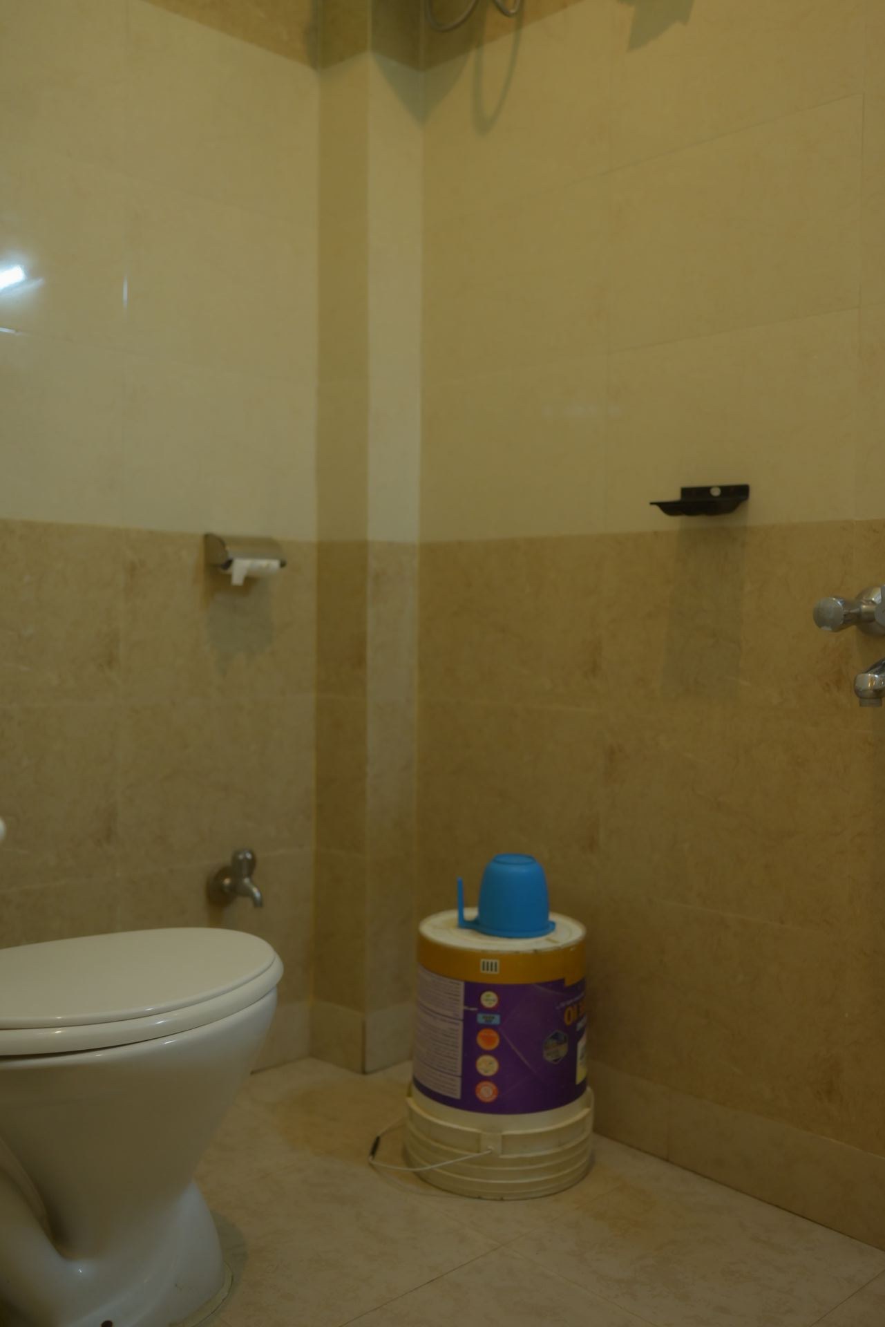 Pravati Bathroom