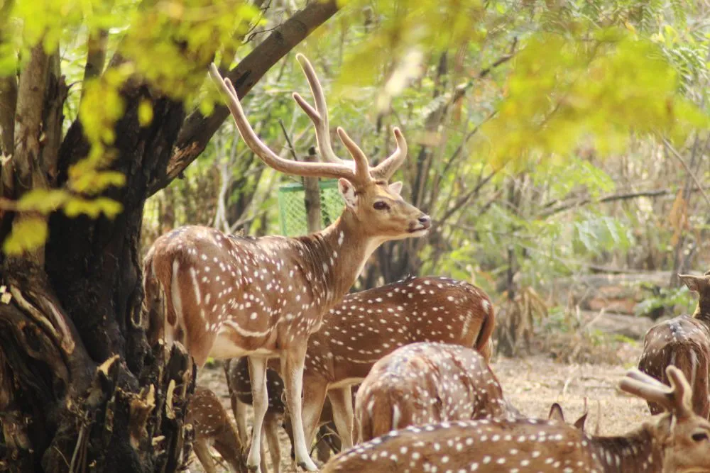 Ballavpur Wildlife Sanctuary