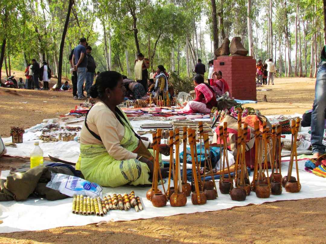 Sonajhuri Forest